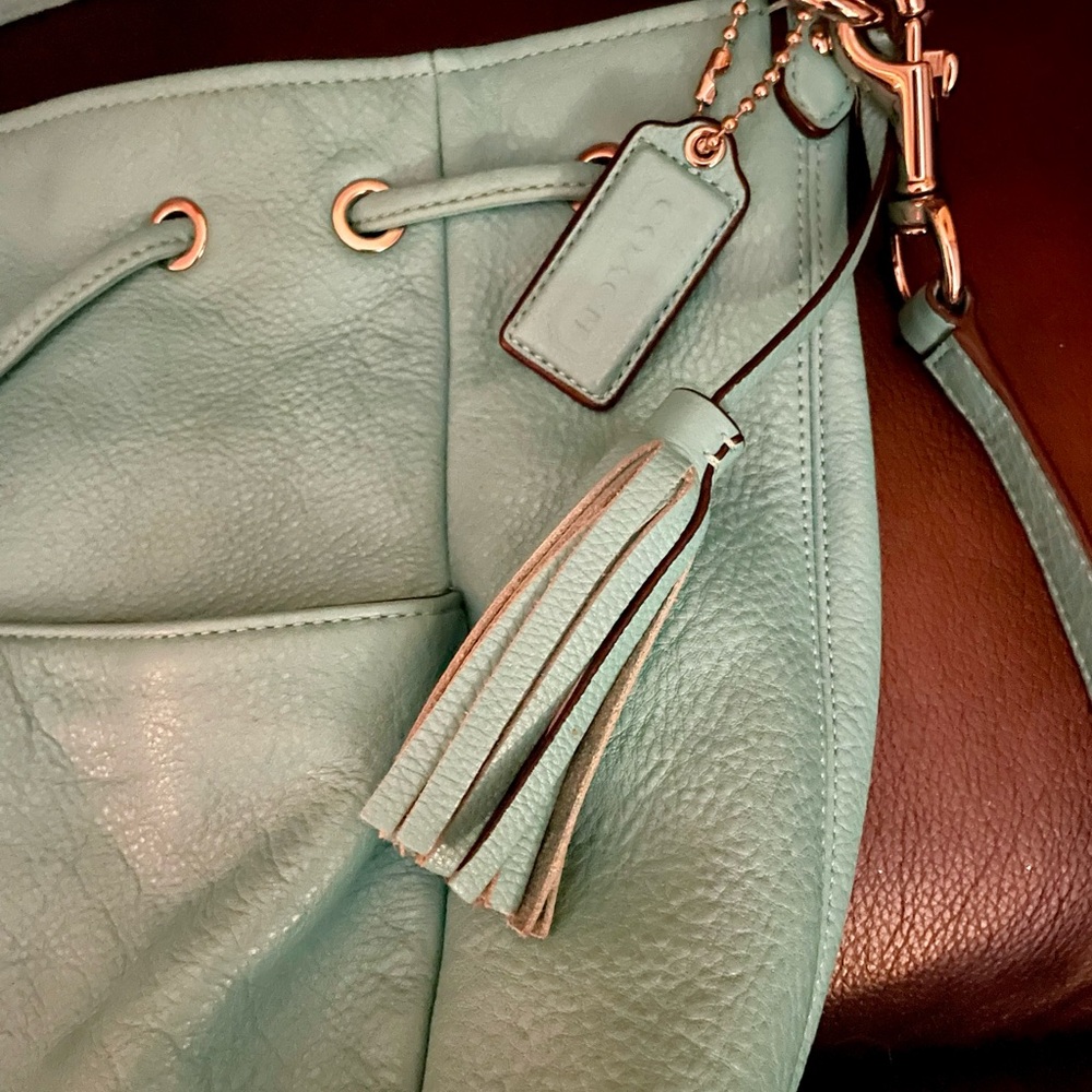 Coach Bag - Picture 4 of 13